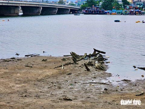 Nghĩa địa xác tàu dưới dòng sông ở Nha Trang - Ảnh 4. Một xác tàu đã bị mục nát lộ rõ sau khi triều rút - Ảnh: MINH CHIẾN
