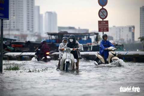 Vừa mưa vừa triều cường, nước kênh TP.HCM cao hơn đường, lục bình tràn lên bờ - Ảnh 5. Mưa kết hợp triều cường khiến mực nước kênh còn cao hơn cả mặt đường