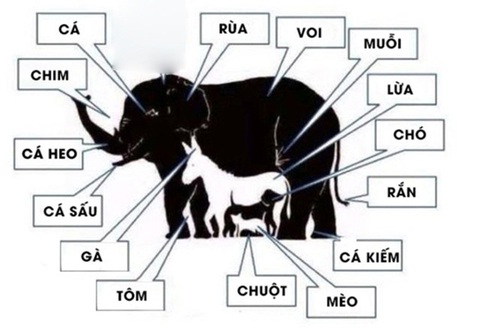 Chỉ thiên tài mới thấy 15 con vật ẩn giấu trong tranh - Ảnh 1.