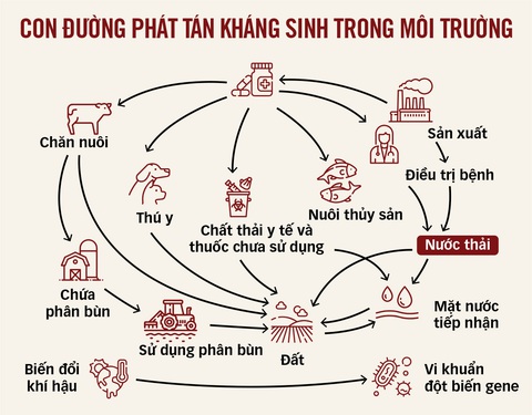 Đồ họa: TẤN ĐẠT Đồ họa: TẤN ĐẠT
