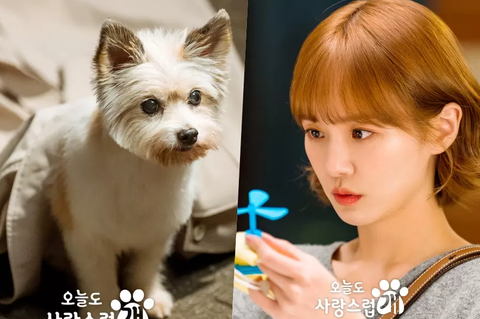 Đôi mắt đáng yêu và mái tóc màu cam của nữ chính Park Gyu Young được khán giả đánh giá hợp với vai diễn trong phim. Đôi mắt đáng yêu và mái tóc màu cam của nữ chính Park Gyu Young được khán giả đánh giá hợp với vai diễn trong phim.