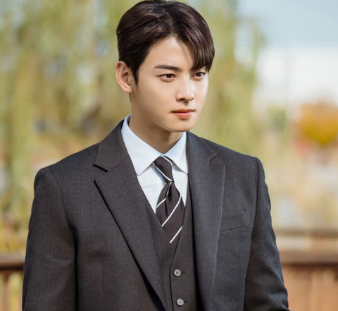 Cha Eun Woo vào vai nam chính Jin Seo Won, một thầy giáo dạy toán Cha Eun Woo vào vai nam chính Jin Seo Won, một thầy giáo dạy toán