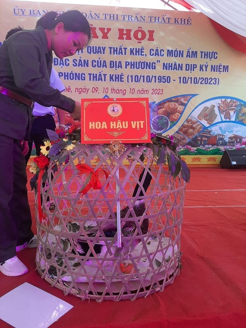 Ảnh vui 11-10: Đi chụp hình mà gặp người quen thì lạ lắm à nghen! - Ảnh 6. "Nở rộ" hoa hậu.
