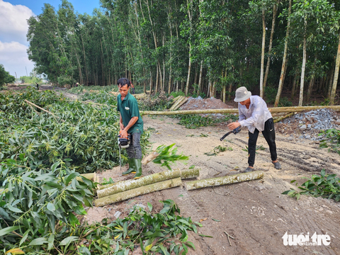 Đề nghị có chính sách tạm cư vì không làm kịp dự án tái định cư cho cao tốc Biên Hòa- Vũng Tàu - Ảnh 2. Cưa cây lấy mặt bằng làm cao tốc Biên Hòa - Vũng Tàu tại xã Long An, huyện Long Thành sáng 11-10 - Ảnh: H.MI