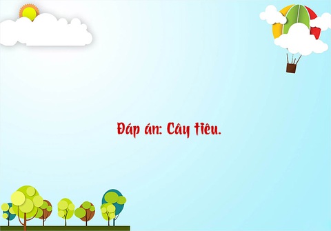 Câu đố hack não: 1 kg bông và 1 kg sắt, cái nào nặng hơn? - Ảnh 1.