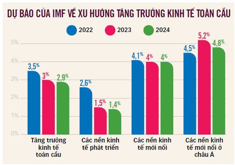 Nguồn: IMF - Dữ liệu: Trần Phương - Đồ họa: TẤN ĐẠT Nguồn: IMF - Dữ liệu: Trần Phương - Đồ họa: TẤN ĐẠT