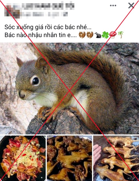 Động vật hoang dã dễ dàng tìm mua trên mạng - Ảnh: HỒNG NGUYỄN Động vật hoang dã dễ dàng tìm mua trên mạng - Ảnh: HỒNG NGUYỄN
