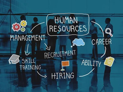 HR Director là ai? Vai trò và công việc của Giám đốc nhân sự - Ảnh 5. Những tố chất cần thiết đối với một giám đốc nhân sự - Ảnh: Internet