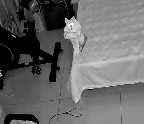 Ảnh vui 12-10: Đứa cháu lớp 1 'sáng tạo' cách rút gọn tiếng Việt - Ảnh 4. Check cam ban đêm mà hú hồn.