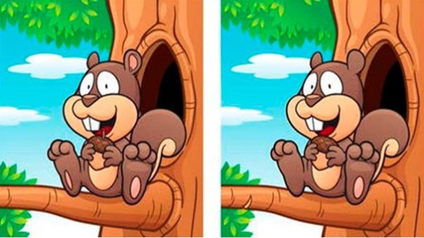 Thử tài tinh mắt: Người phụ nữ đang lẩn trốn ở đâu? - Ảnh 4. Thử tài tinh mắt: Người phụ nữ đang lẩn trốn ở đâu? - Ảnh 4.