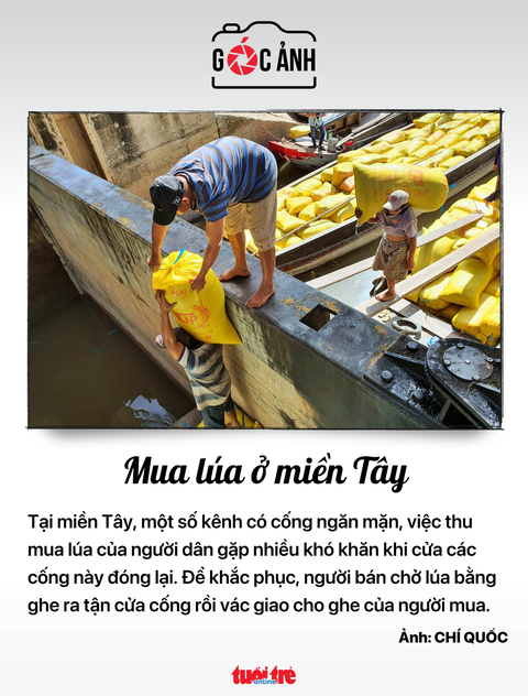 Tin tức sáng 13-10: - Ảnh 3. Tin tức sáng 13-10: - Ảnh 3.