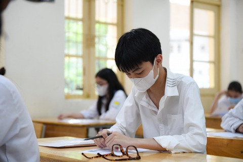 Tăng tỷ lệ giải trong kỳ thi chọn học sinh giỏi quốc gia - Ảnh 1. Quy chế thi chọn học sinh giỏi quốc gia có những điều chỉnh mới - Ảnh: NAM TRẦN