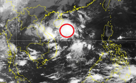 Xuất hiện vùng áp thấp ở giữa Biển Đông - Ảnh 1. Trong 24 giờ tới, vùng áp thấp ở khu vực giữa Biển Đông di chuyển theo hướng tây tây bắc - Ảnh: NCHMF