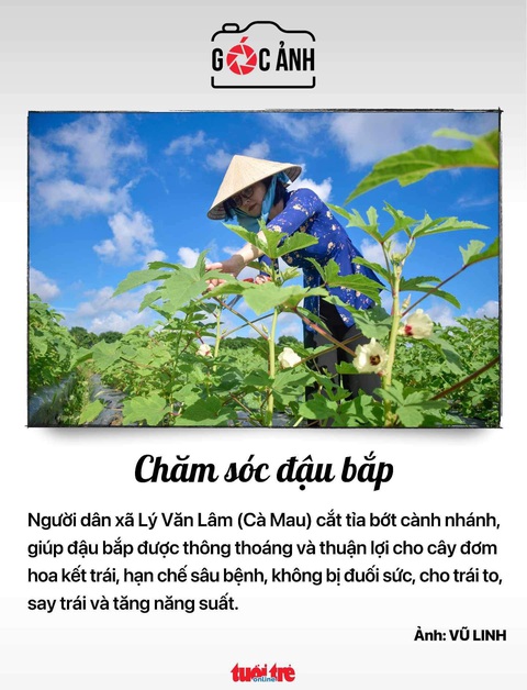 Tin tức sáng 14-10: Hà Nội dừng phát hành thẻ bảo hiểm y tế giấy; TP.HCM đổi mới buýt để hút khách - Ảnh 6. Tin tức sáng 14-10: Hà Nội dừng phát hành thẻ bảo hiểm y tế giấy; TP.HCM đổi mới buýt để hút khách - Ảnh 6.