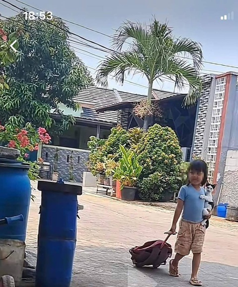 Ảnh vui 14-10: Muốn đi nhanh thì đi 1 mình, sao lại ôm tao theo? - Ảnh 1. Hình ảnh thỉnh thoảng thấy ở một đứa trẻ: Muốn đi nhanh nhưng lại còn nấn ná