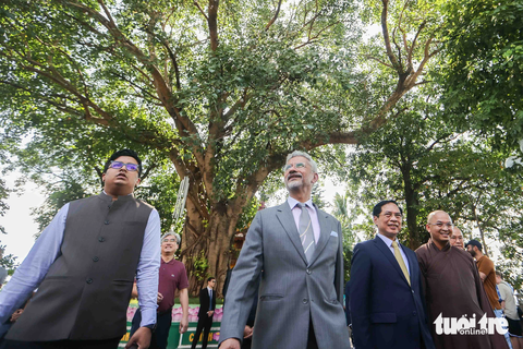 Ngoại trưởng Ấn Độ S.Jaishankar thăm cây bồ đề linh thiêng tại chùa Trấn Quốc - Ảnh 7. Ngoại trưởng Ấn Độ S. Jaishankar ngắm nhìn cây bồ đề tại chùa Trấn Quốc. Cây bồ đề này là món quà đặc biệt của Tổng thống Ấn Độ Rajendra Prasad khi ông sang thăm Việt Nam vào năm 1959. Tổng thống Ấn Độ Rajendra Prasad và Chủ tịch Hồ Chí Minh đã trồng cây bồ đề ngay khoảng sân tại chùa Trấn Quốc