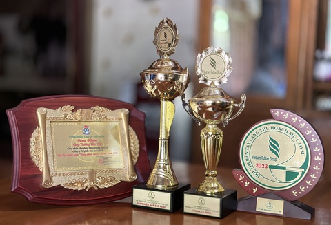 Một số giải thưởng bàn tay vàng cạo mủ cao su mà anh Tiến đạt được - Ảnh: ĐĂNG NGUYÊN Một số giải thưởng bàn tay vàng cạo mủ cao su mà anh Tiến đạt được - Ảnh: ĐĂNG NGUYÊN