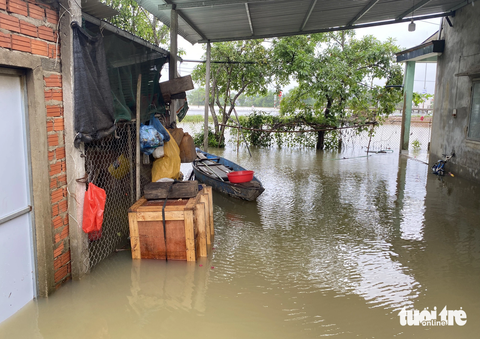 Ngập lũ nhiều nơi, dân dọn đồ đạc, hối hả dắt trâu 'chạy' lũ - Ảnh 2. Một nhà dân ở thôn Đàn Long bị ngập nước lũ - Ảnh: LÊ TRUNG