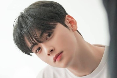 diễn viên Cha Eun Woo Diễn viên Cha Eun Woo
