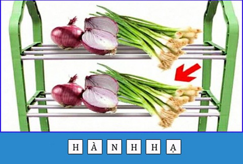 Thử tài IQ đuổi hình bắt chữ (P7) - Ảnh 1.