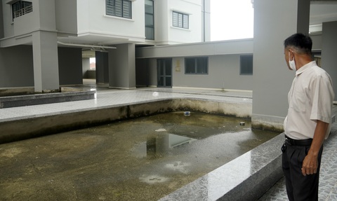 Chung cư tái định cư gần 600 tỉ đồng bỏ không gần hai năm ở Vũng Tàu - Ảnh 4. Rêu mọc trong hồ nước trang trí của chung cư tái định cư Thắng Tam - Ảnh: ĐÔNG HÀ
