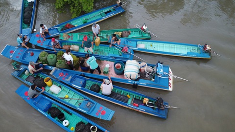Sáng sớm, xuồng ghe tấp nập đem ba khía bán cho các vựa - Ảnh TIẾN TRÌNH Sáng sớm, xuồng ghe tấp nập đem ba khía bán cho các vựa - Ảnh TIẾN TRÌNH