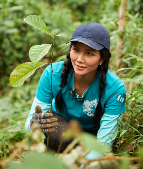 H'Hen Niê trồng rừng tại Vườn quốc gia Bến En (tỉnh Thanh Hóa) - Ảnh: NVCC H'Hen Niê trồng rừng tại Vườn quốc gia Bến En (tỉnh Thanh Hóa) - Ảnh: QUỶ CỐC TỬ