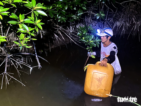 Ba khía, con sình lầy đi bán chợ xa - Kỳ 2: Săn ba khía giữa rừng khuya - Ảnh 3. Anh Tiến đã nối bước cha mình, gắn với nghề bắt ba khía gần 8 năm - Ảnh DIỆU QUÍ