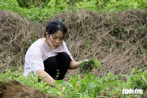 'Hoa trên bản' xuống núi 'bắt cái chữ' - Ảnh 7. Nhà nghèo quá, làm nương rẫy chẳng thể đủ ăn, Phe phải đi làm từ nhỏ - Ảnh: NGUYÊN BẢO