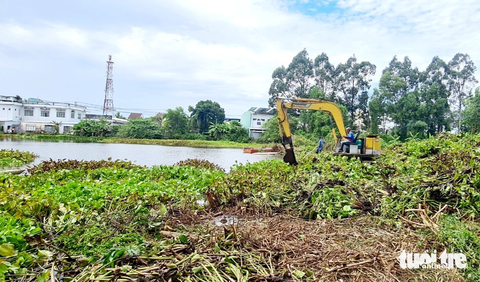 Sẽ đề xuất phương án di dời phù hợp đàn cá sấu nuôi của công viên - Ảnh 1. Địa phương thuê máy Kobe để múc lục bình ở hồ nước phía sau công viên (hồ rộng khoảng 0,6ha, sâu 7m) - nơi đây được mọi người nghi cá sấu sổng chuồng còn lại trú ngụ - Ảnh: CHÍ CÔNG