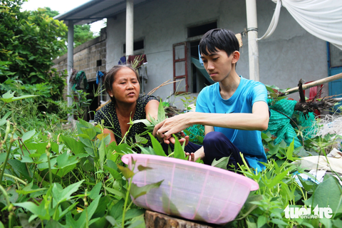 Vượt qua bệnh tật, sinh viên nghèo Huỳnh Văn Sinh đến giảng đường - Ảnh 5. Vườn rau khoai cạnh nhà Huỳnh Văn Sinh. Gia cảnh khó khăn, mọi sinh hoạt phí đều dựa cả vào số tiền 400.000 đồng trợ cấp “tâm thần” của người mẹ, nên gần như bữa nào gia đình Sinh cũng chỉ ăn rau là món chính - Ảnh: NHẬT LINH