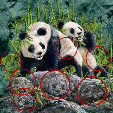 Mắt 10/10 mới thấy 7 chú gấu trúc đang lẩn trốn trong tranh - Ảnh 1.