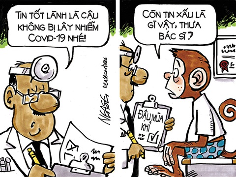 Khi Mpox vẫn mang tiếng oan là 'đậu mùa khỉ' - Ảnh 4. Kỳ thị là đây: ai bị Mpox sẽ hóa thành... khỉ! - tranh của Steve Nease, họa sĩ Canada.