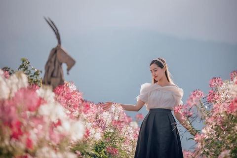 Chiêm ngưỡng “cảnh thần tiên” trên đỉnh Fansipan mùa mây phủ - Ảnh 7. Chiêm ngưỡng “cảnh thần tiên” trên đỉnh Fansipan mùa mây phủ - Ảnh 7.