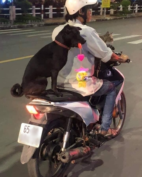 Ảnh vui 2-10: 'Ông lão đánh cá' bản live action - Ảnh 6. Còn múa lân là còn Trung thu