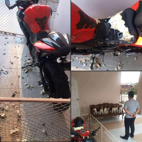 Ảnh vui 20-10: Giỏ hoa của ông chồng 'hôm nay không biết chúc gì' - Ảnh 5. Khai ra, đứa nào làm?!