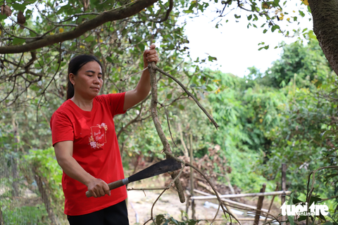 Sau khi ở lô cao su về, chị Phương tranh thủ làm thêm việc nhà để tăng thu nhập - Ảnh: ĐĂNG NGUYÊN Sau khi ở lô cao su về, chị Phương tranh thủ làm thêm việc nhà để tăng thu nhập - Ảnh: ĐĂNG NGUYÊN
