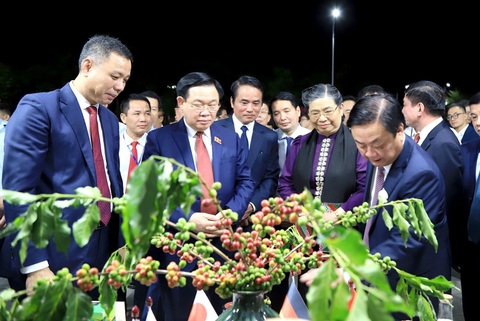 Bộ trưởng Lê Minh Hoan: Hợp tác, liên kết là 'chìa khóa' để phát triển bền vững cà phê Sơn La - Ảnh 1. Chủ tịch Quốc hội Vương Đình Huệ và đại biểu thăm các gian hàng giới thiệu sản phẩm cà phê - Ảnh: Báo Sơn La