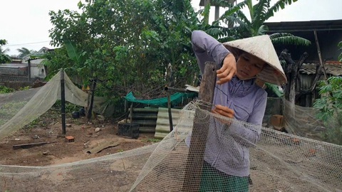 "Tiếp sức nhà nông" tiếp sức cho 40 hộ nông dân Quảng Trị - Ảnh 2. Chị Thái Thị Nhung, trú thôn Mạch Nước, xã Vĩnh Thái (Vĩnh Linh) gia cố chuồng trại để mua 200 con gà về nuôi theo chương trình Tiếp sức nhà nông - Ảnh: QUỐC NAM