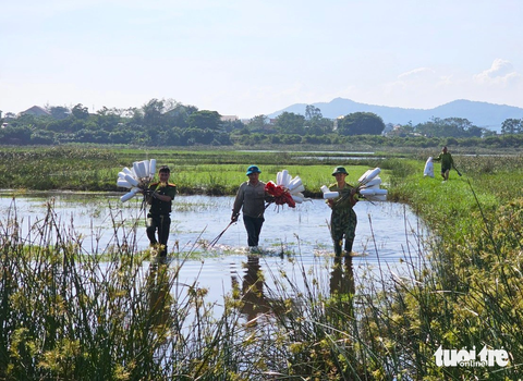 'Ma trận' bẫy chim trời mùa di cư tháo dỡ mãi không hết - Ảnh 5. Mặc dù thường xuyên ra quân xử lý nạn bẫy bắt chim trời nhưng tình trạng săn chim chưa thể xử lý triệt để và tái diễn trở lại - Ảnh: H.A.
