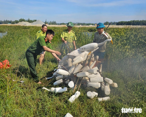 'Ma trận' bẫy chim trời mùa di cư tháo dỡ mãi không hết - Ảnh 6. Các dụng cụ bẫy bắt chim trời sau khi thu giữ được lực lượng chức năng tiêu hủy tại chỗ - Ảnh: H.A.