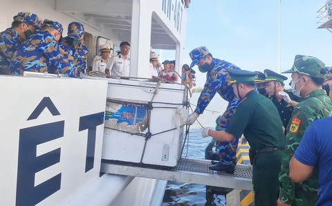 - Ảnh 5. Thi thể của hai ngư dân được đưa từ tàu 467 vào bờ chiều 20-10 - Ảnh: TRẦN MAI