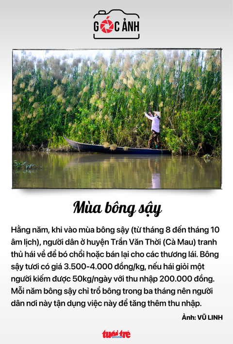 Tin tức sáng 22-10: Phó thủ tướng yêu cầu phát hiện, xử lý ngay hành vi né tránh, đùn đẩy công việc - Ảnh 6. Tin tức sáng 22-10: Phó thủ tướng yêu cầu phát hiện, xử lý ngay hành vi né tránh, đùn đẩy công việc - Ảnh 6.
