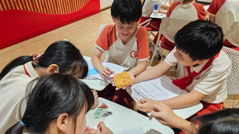 Học sinh trải nghiệm tham quan nhà máy mì Acecook Việt Nam - Ảnh 2. Các em được tìm hiểu kiến thức liên quan đến mì gói - Ảnh: CHÂU HÀ