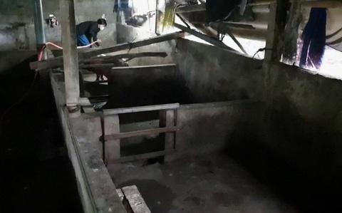 Thắp lên hy vọng cho nông dân Quảng Trị - Ảnh 3. Gia đình chị Thúy cũng rơi vào cảnh khốn khó vì đàn lợn bị dịch tả lợn châu Phi phải tiêu hủy toàn bộ năm năm trước, hệ thống chuồng trại phải bỏ không - Ảnh: QUỐC NAM