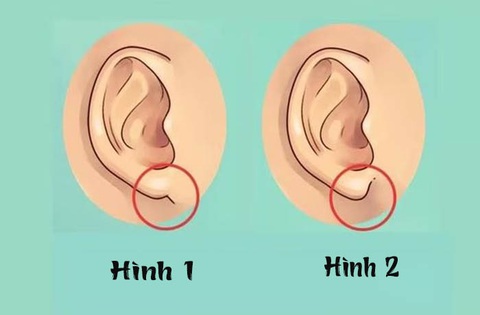 Dái tai bộc lộ tính cách bí ẩn bên trong bạn - Ảnh 1. Dái tai bộc lộ tính cách bí ẩn bên trong bạn - Ảnh 1.