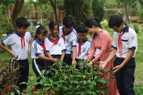 Môn học tích hợp: Ưu tiên dạy theo mạch chương trình đã thiết kế - Ảnh 1. Học sinh trải nghiệm trong phân môn sinh học của môn khoa học tự nhiên tại vườn trường - Ảnh: VĨNH HÀ