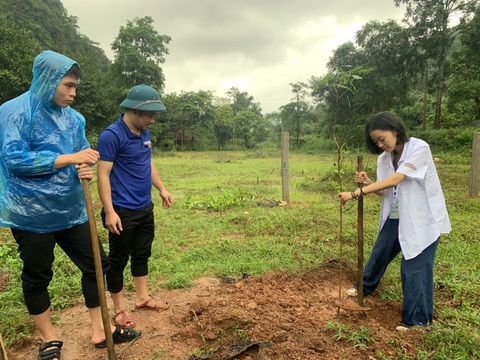 Nhóm học sinh thực hiện chiến dịch trồng cây rừng tự nhiên bằng 1.000 cây lim, sến, lát hoa… - Ảnh 1. Nhóm học sinh thuộc dự án Green Era triển khai trồng cây rừng bản địa như lim, sến vào rừng tự nhiên tại Khu bảo tồn thiên nhiên Đakrông chiều 24-10 - Ảnh: L.Q.H