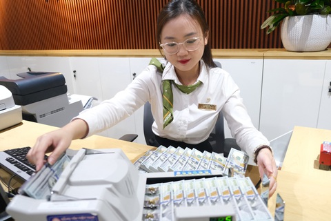 Chưa phải bán USD, áp lực tỉ giá lớn nhưng sẽ hạ nhiệt nhờ đâu? - Ảnh 1. Nguồn cung ngoại tệ từ xuất siêu, FDI và kiều hối sẽ góp phần hạ nhiệt áp lực tỉ giá - Ảnh: NGỌC PHƯỢNG