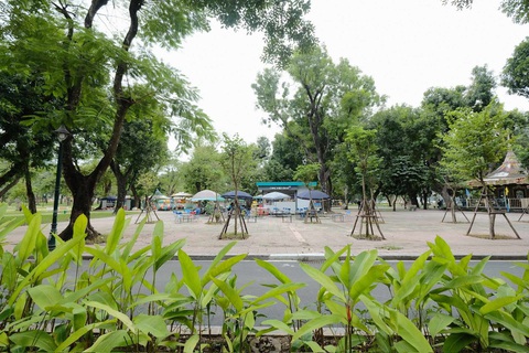 TP.HCM quá thiếu cây xanh, diện tích cây xanh/người thấp nhất trong các đô thị - Ảnh 2. Một góc công viên Thống Nhất - mảng xanh hiếm hoi giữa nội đô Hà Nội - Ảnh: NAM TRẦN